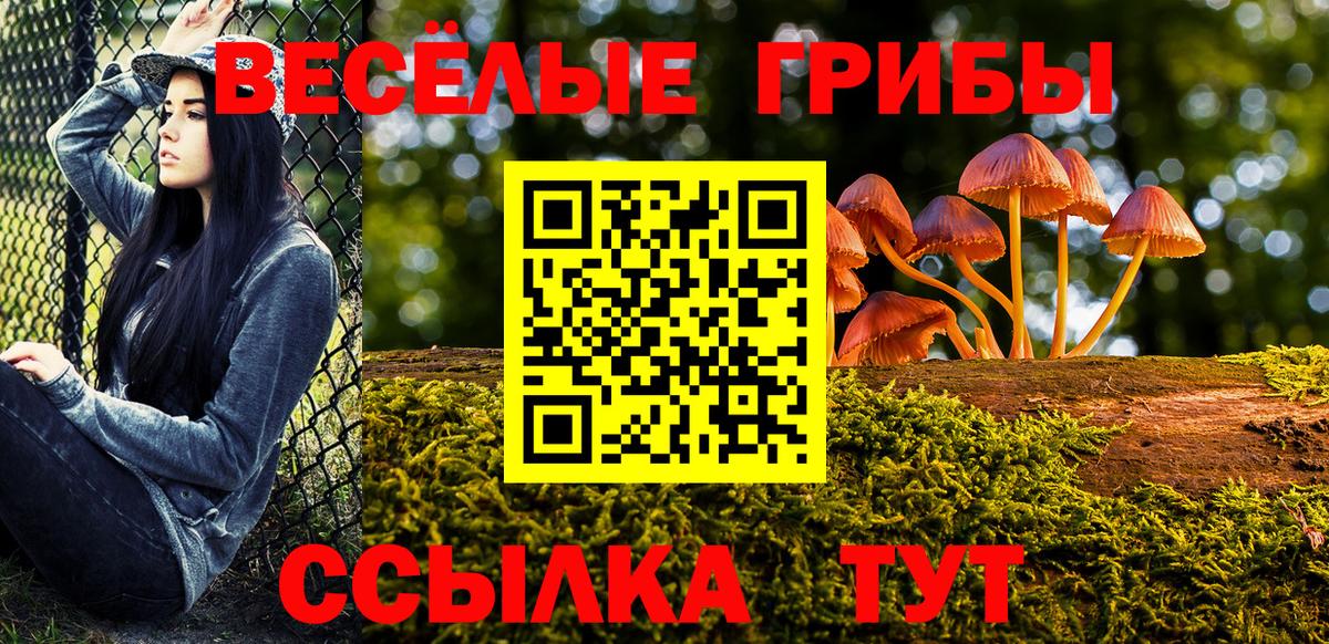 Галлюциногенные грибы Magic Shrooms Саяногорск